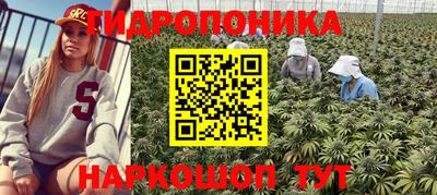 гидропоника Ипатово